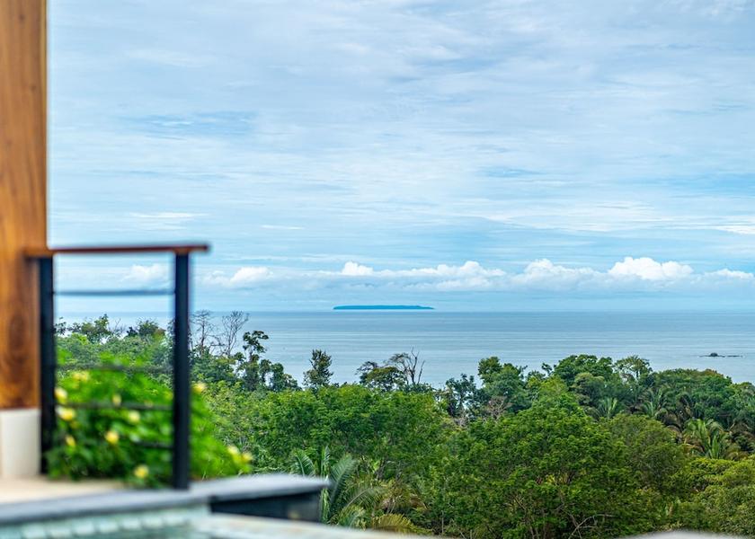 San Jose Ballena Room