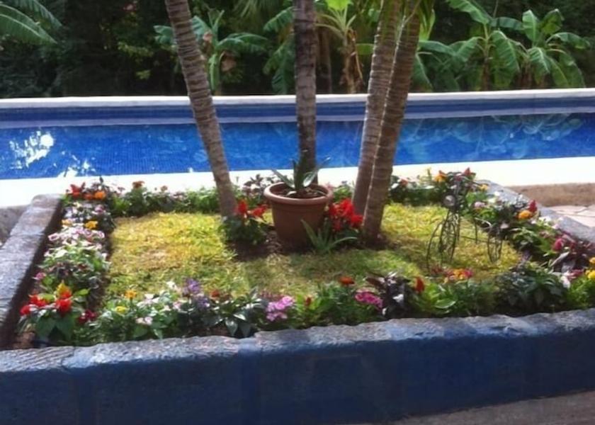 Guanacaste Tamarindo Pool