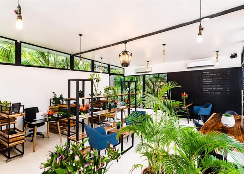 Guanacaste Tamarindo Cafe