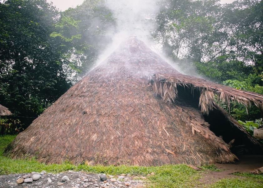 Limon Cahuita Primary image
