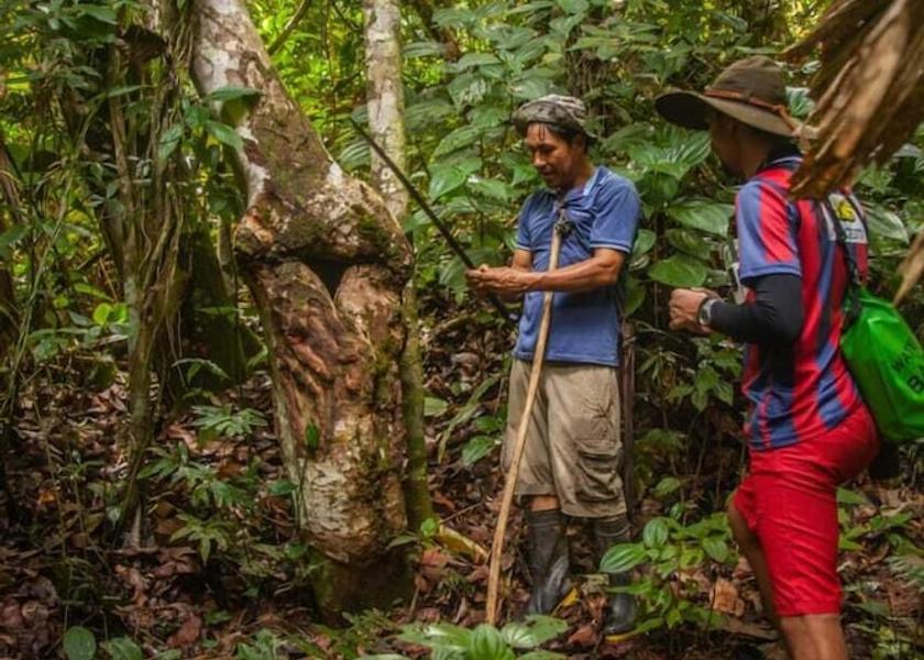 Limon Cahuita Hiking