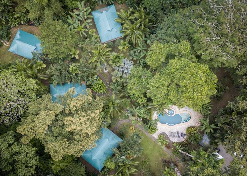 Limon Cahuita Primary image