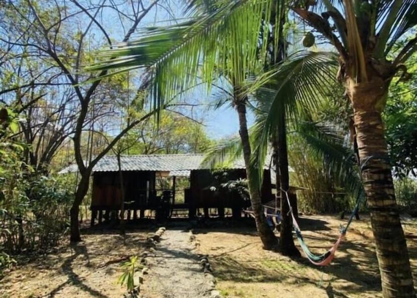 Puntarenas Province Bahía Ballena Exterior Detail