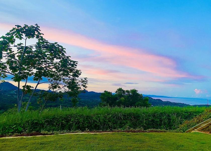 San Jose Ballena Room