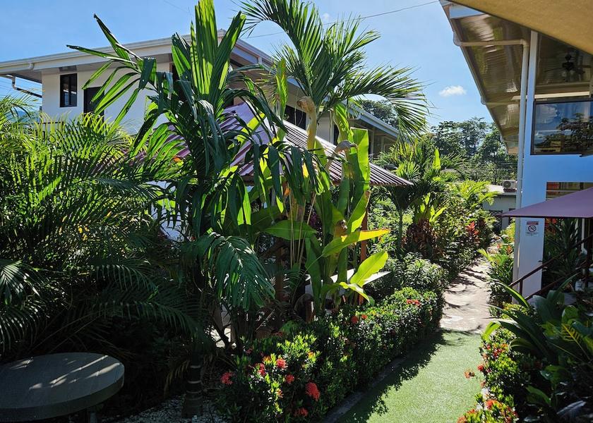 San Jose Ballena Garden View