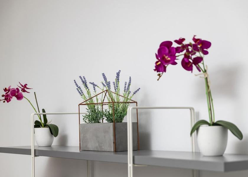 Limassol District Limassol Room