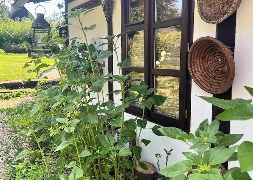 Usti nad Labem (region) Chribska Exterior Detail