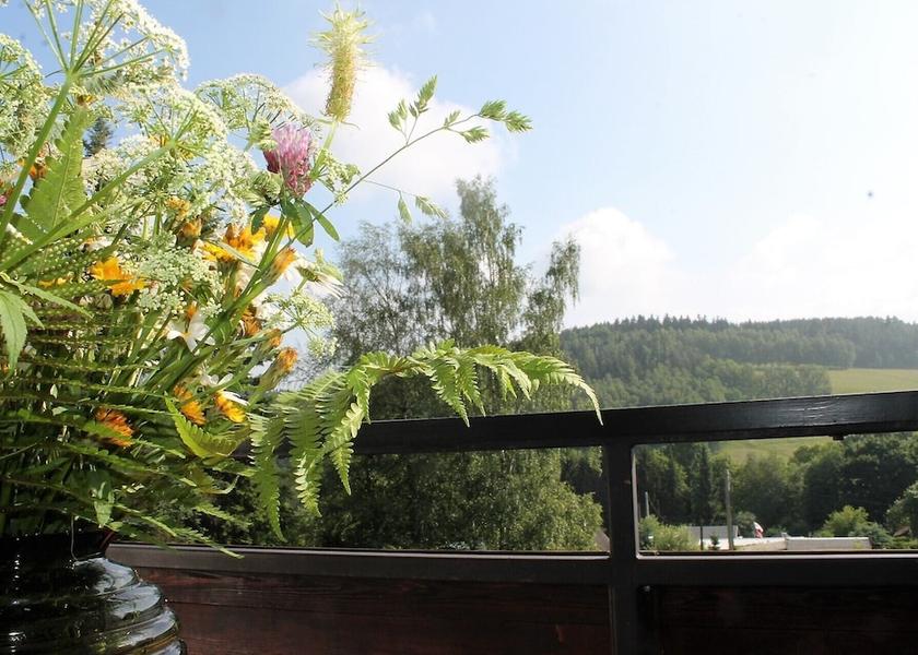 Saxony Bad Elster Balcony