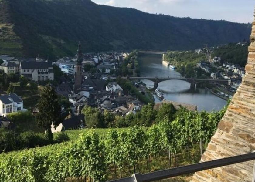 Rhineland-Palatinate Cochem Property Grounds