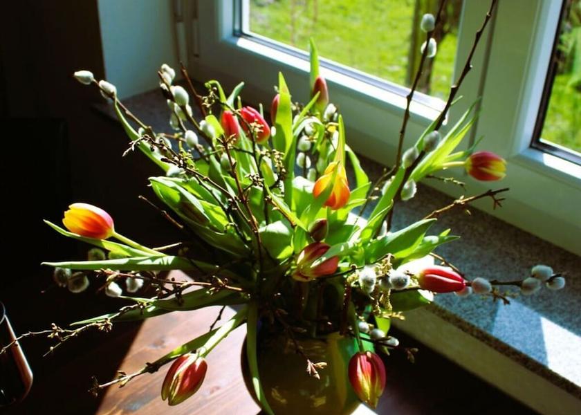 Baden-Wuerttemberg Ueberlingen Living Area