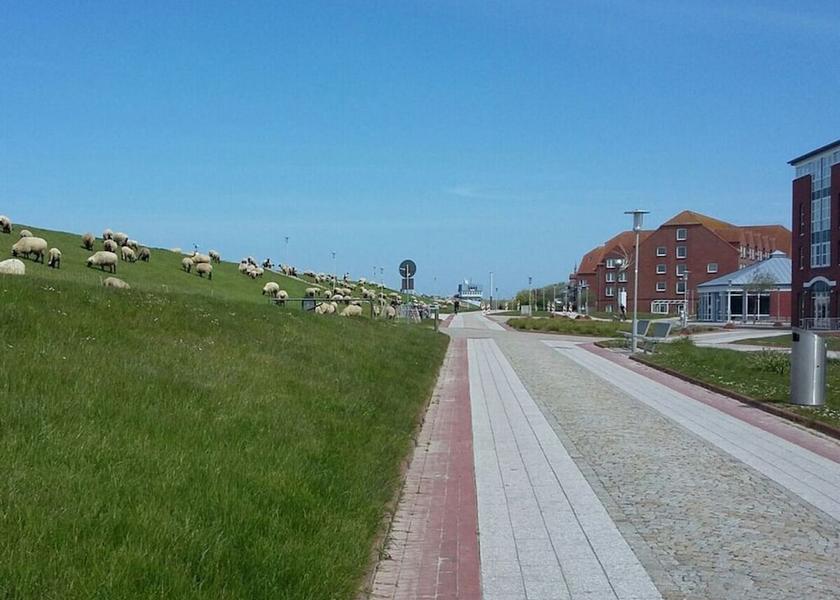 Lower Saxony Norden Property Grounds