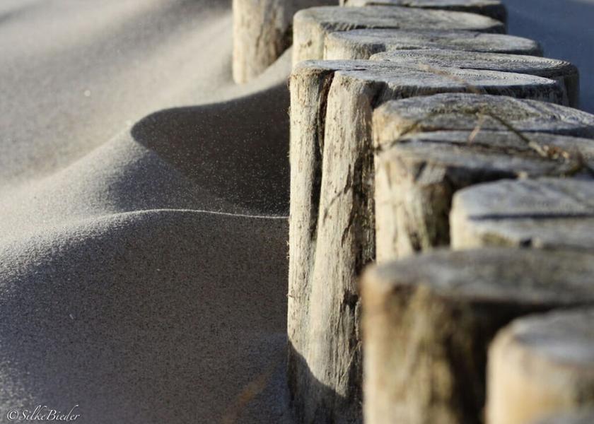 Mecklenburg-West Pomerania Zingst Amenity