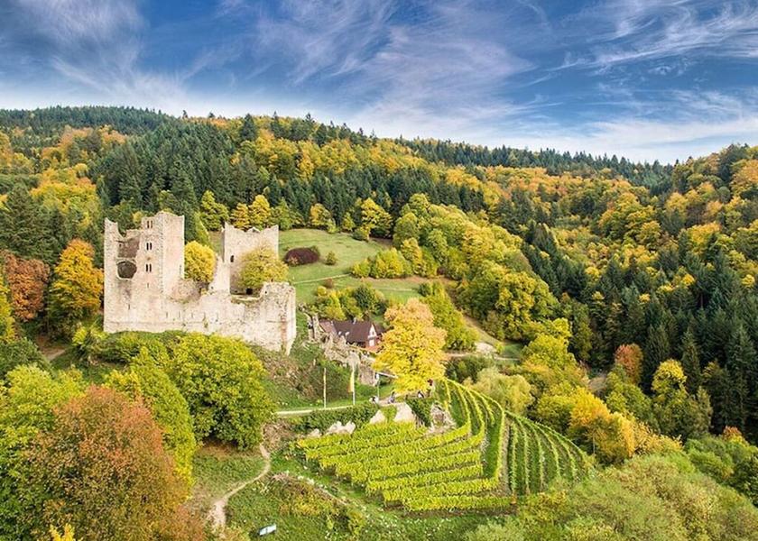 Baden-Württemberg Oberkirch Aerial View