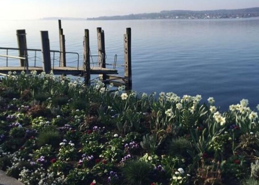 Baden-Wuerttemberg Ueberlingen View from Property