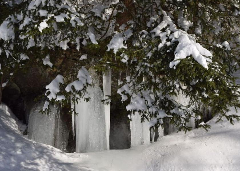 Lower Saxony Bad Sachsa Amenity