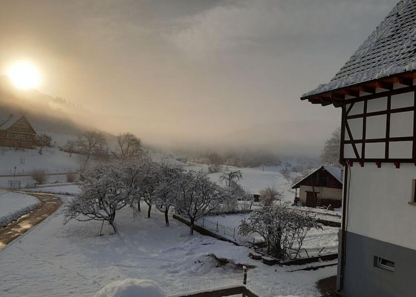 Baden-Württemberg Oberkirch Property Grounds