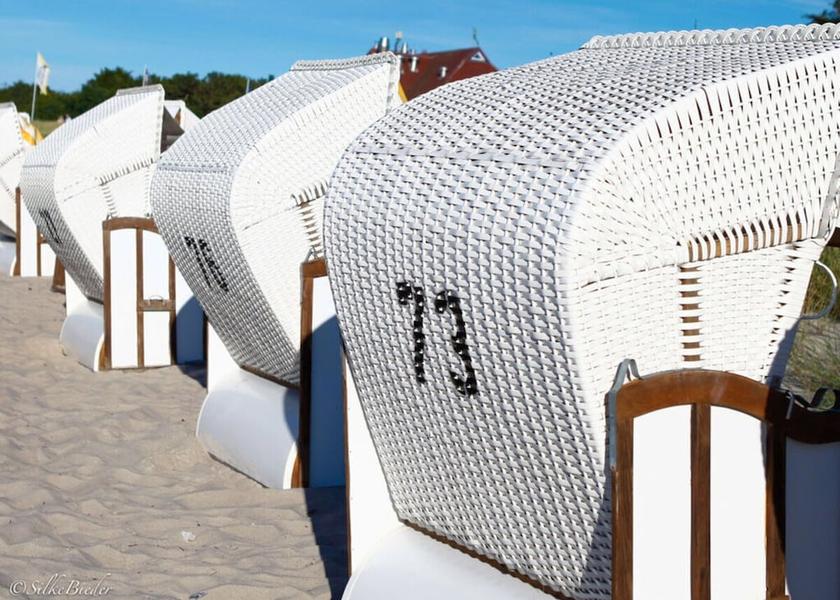 Mecklenburg - West Pomerania Zingst Property Grounds