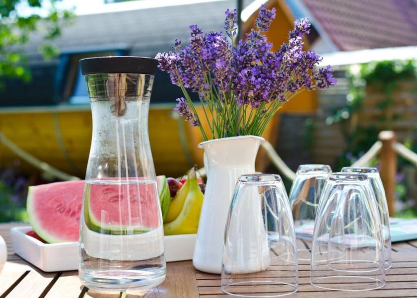 Mecklenburg - West Pomerania Zingst Dining Area