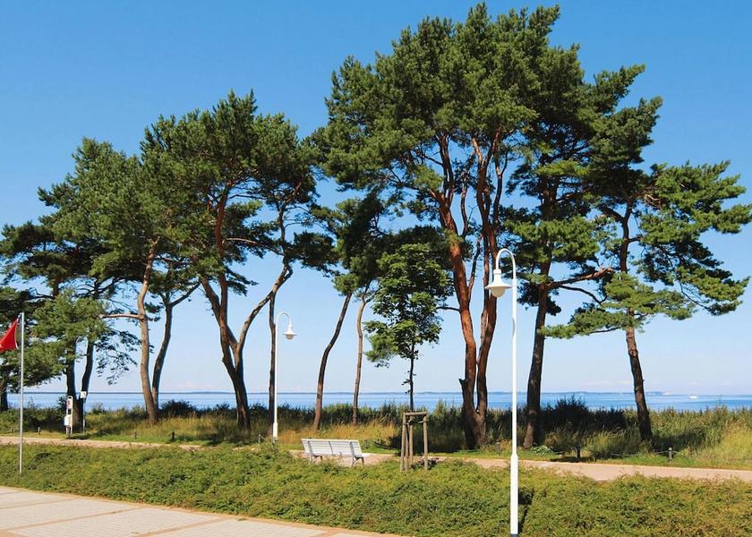 Mecklenburg-West Pomerania Glowe View from Property