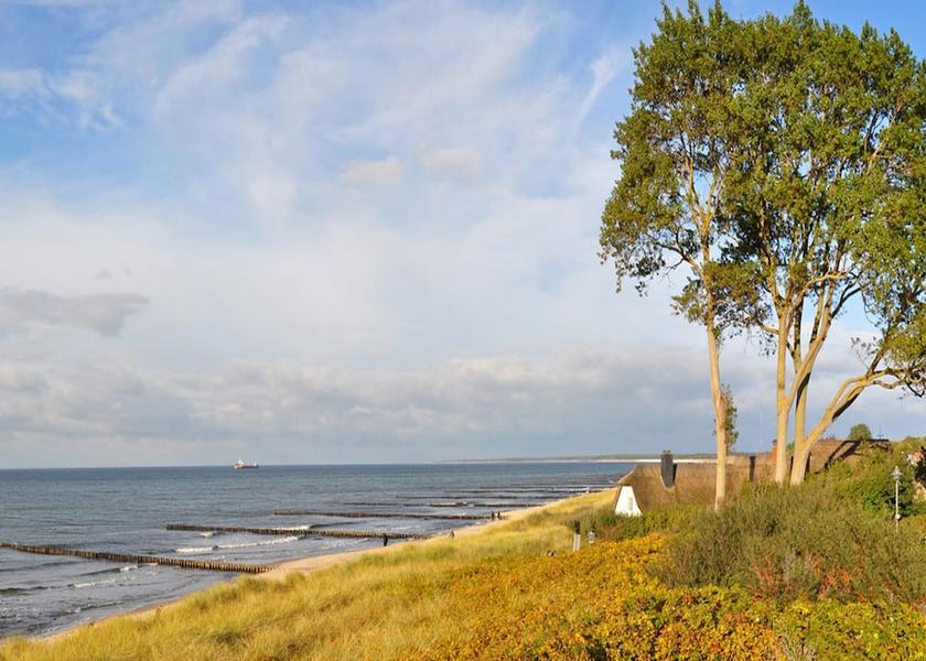 Mecklenburg - West Pomerania Zingst View from Property