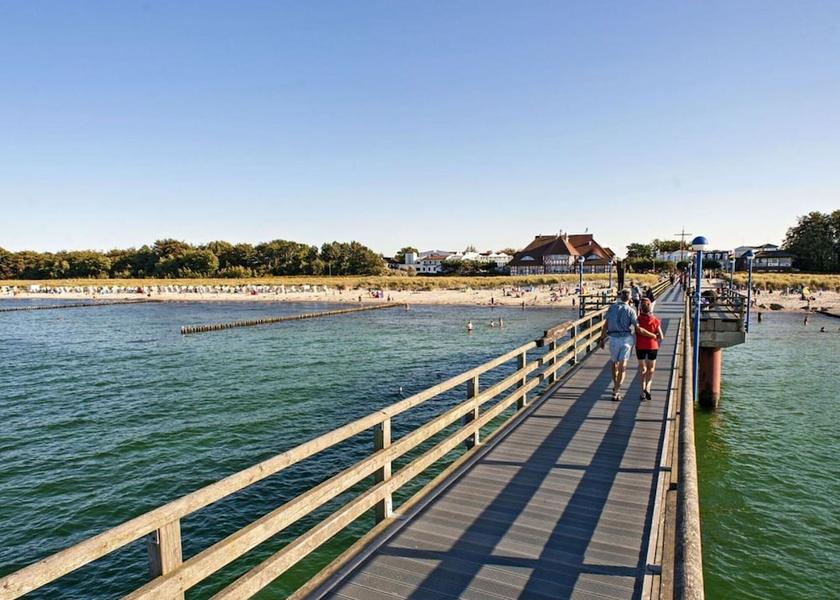 Mecklenburg - West Pomerania Zingst View from Property