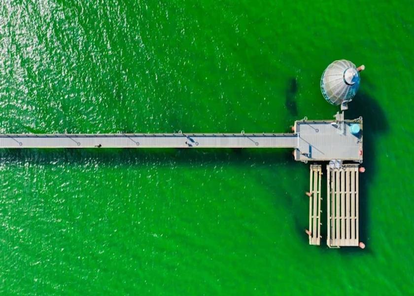 Mecklenburg - West Pomerania Zingst View from Property