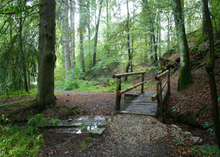 Lower Saxony Bad Sachsa View from Property