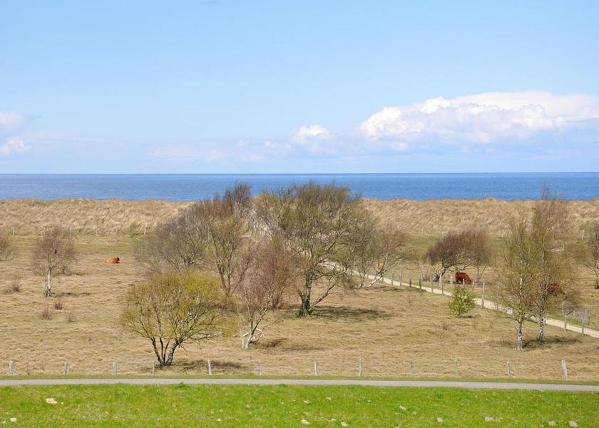 Schleswig-Holstein Wangels View from Property