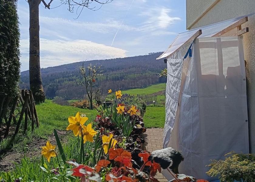 Hessen Bad Wildungen Garden