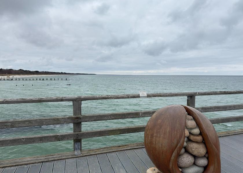 Mecklenburg - West Pomerania Zingst View from Property