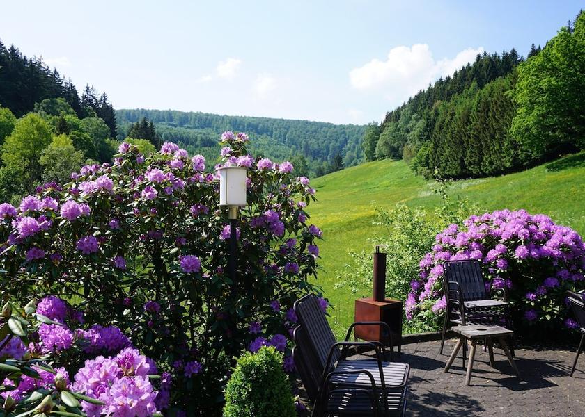 North Rhine-Westphalia Winterberg View from Property