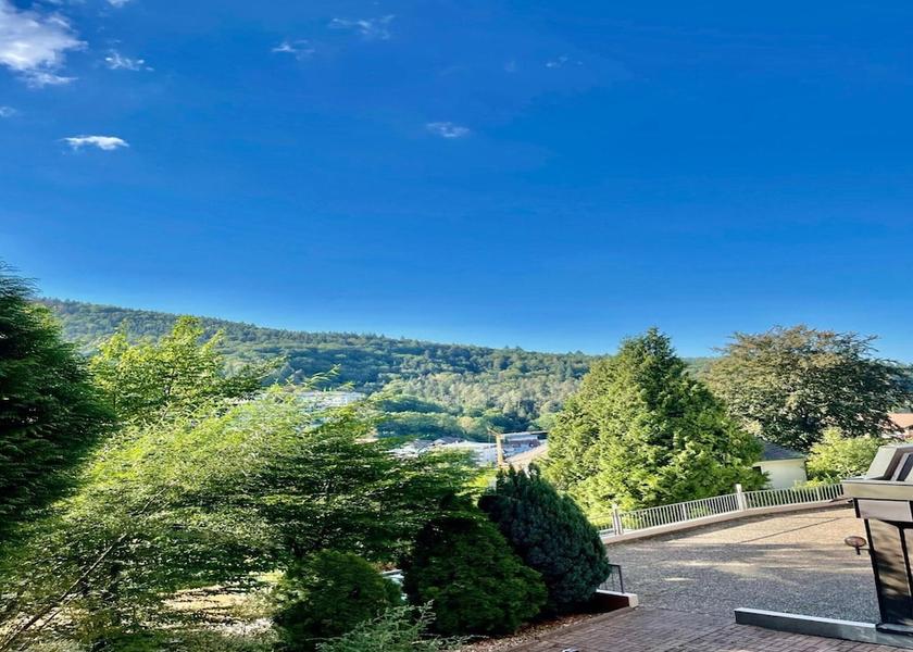 Baden-Württemberg Bad Herrenalb View from Property