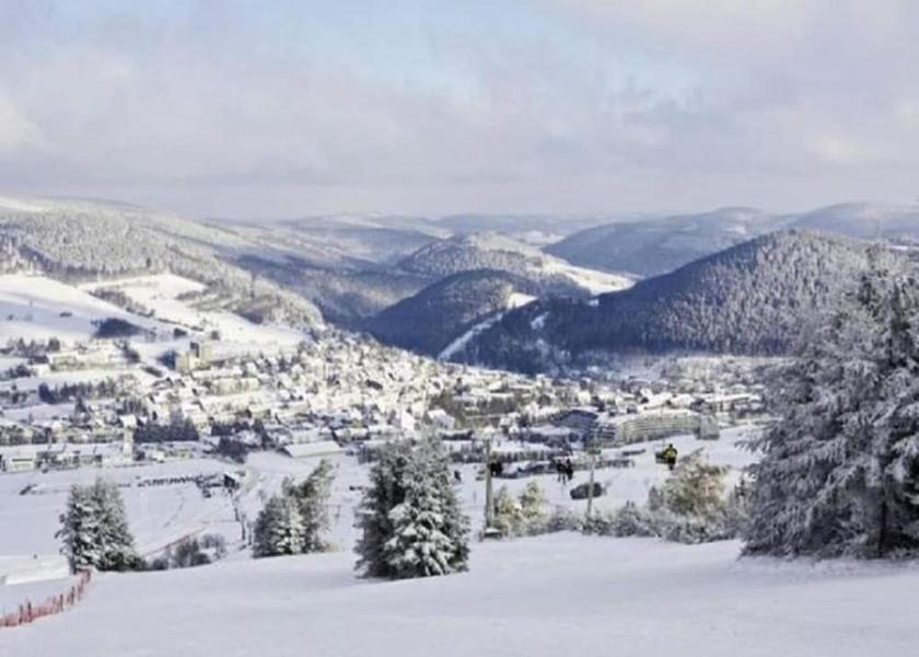 North Rhine-Westphalia Olsberg View from Property