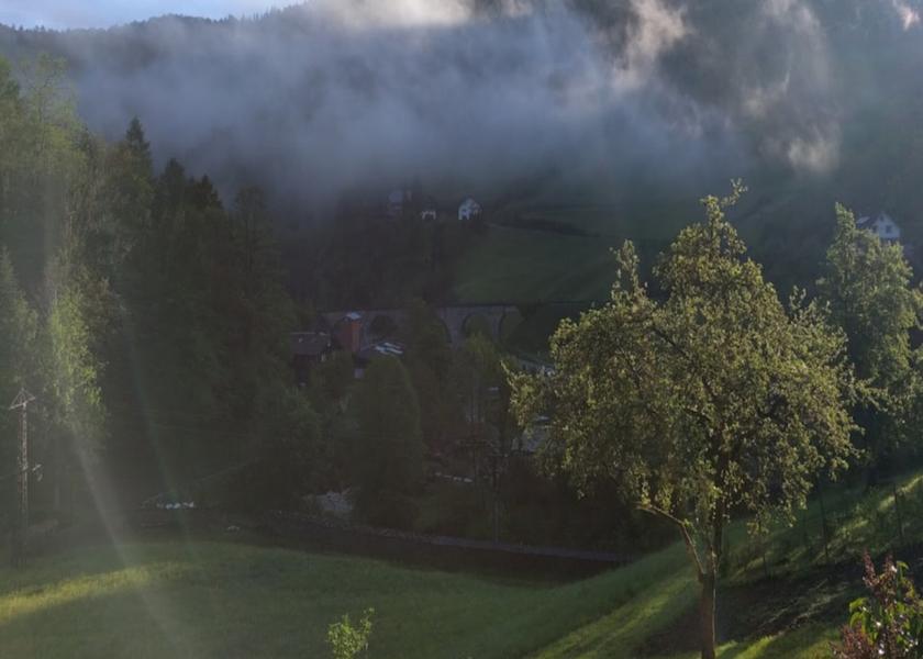Baden-Wuerttemberg Bad Peterstal-Griesbach View from Property