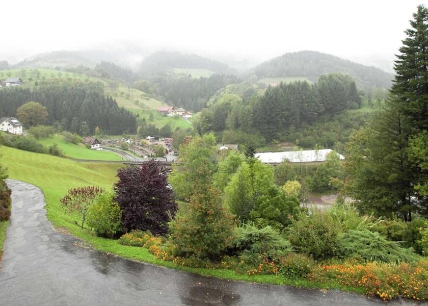 Baden-Wuerttemberg Bad Peterstal-Griesbach View from Property