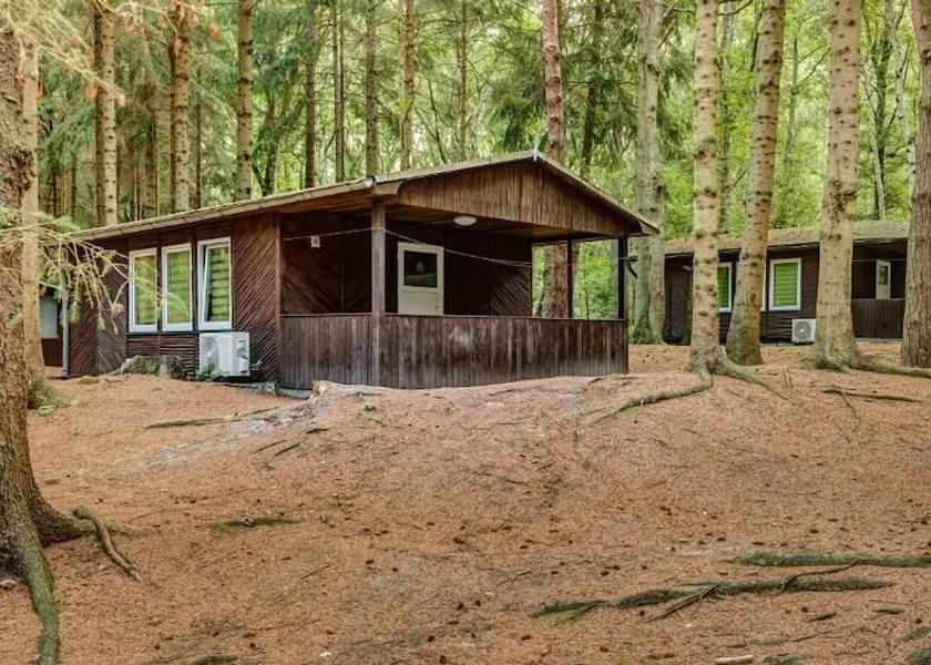 Mecklenburg-West Pomerania Dranske Primary image
