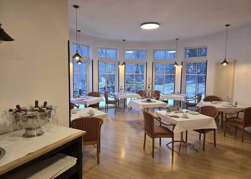 Saxony Bad Brambach Breakfast Area