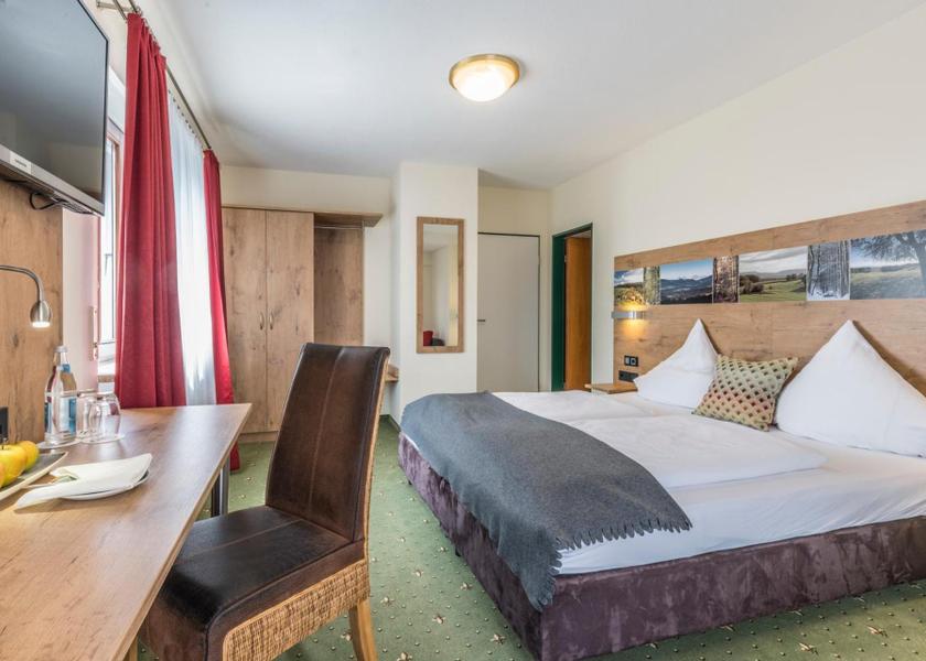 Baden-Württemberg Grenzach-Wyhlen Standard Triple Room (with Air Conditioning)