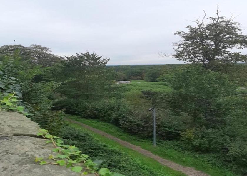 Lower Saxony Bad Bentheim View from Property
