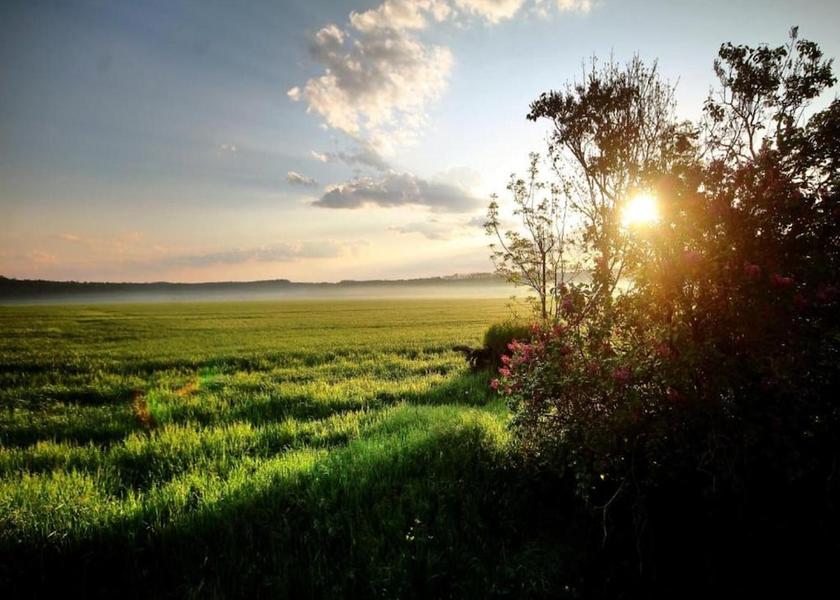 Saxony Falkenstein/Vogtl. View from Property