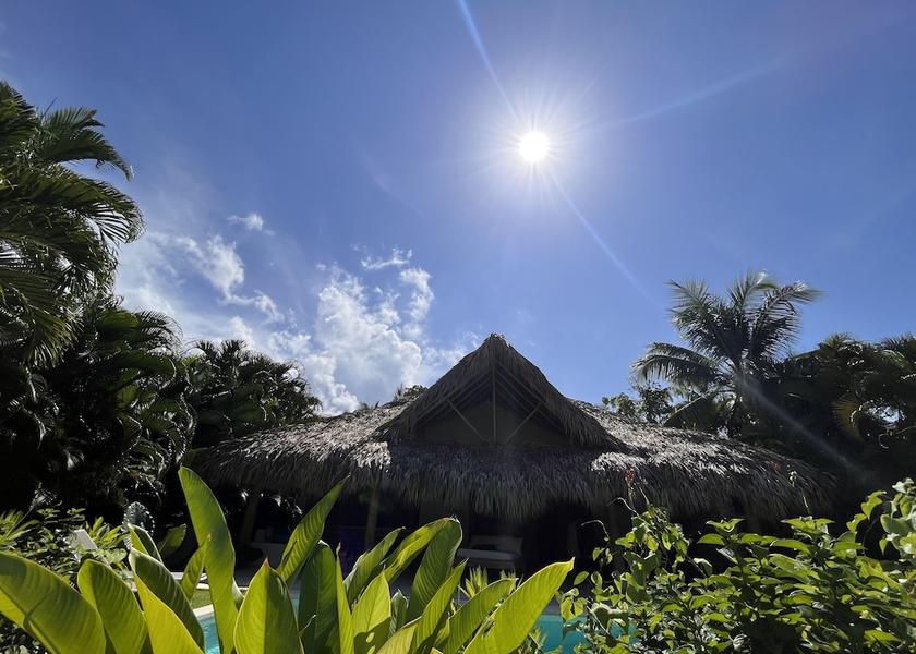 Samana Las Terrenas Garden