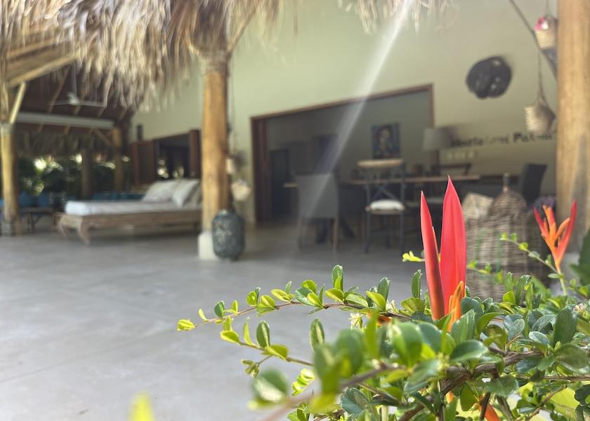 Samana Las Terrenas Property Grounds