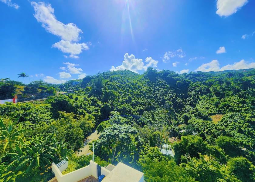 Samana Las Terrenas Room