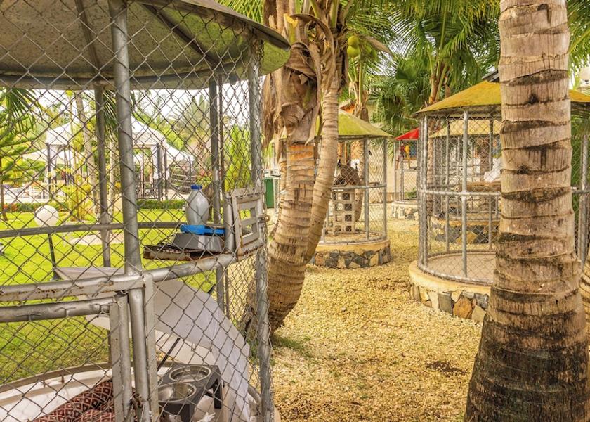 Santo Domingo Boca Chica Garden