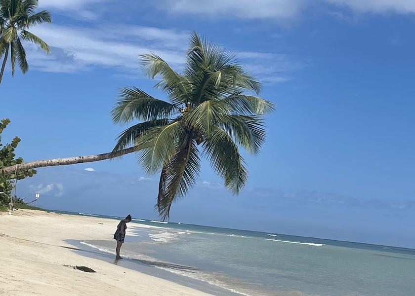 Samaná Las Terrenas Beach