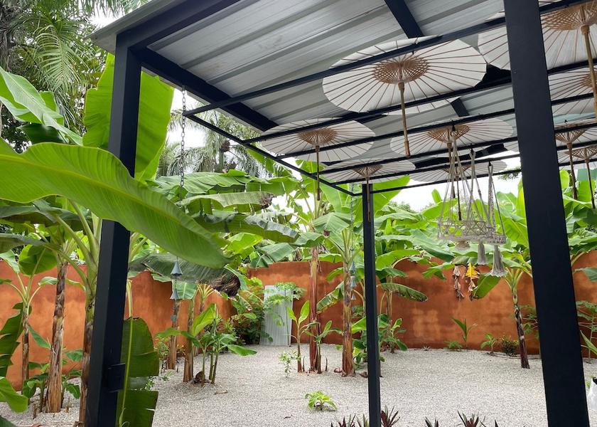 Samaná Samaná Terrace