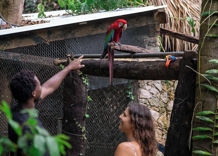 Samana Las Galeras Garden
