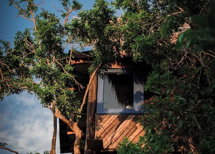 Samana Las Galeras Room