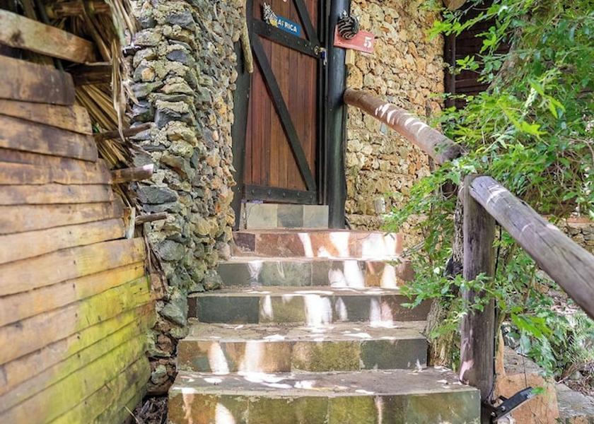 Samana Las Galeras Room