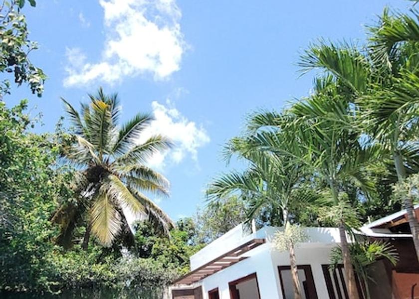 La Romana La Romana Pool